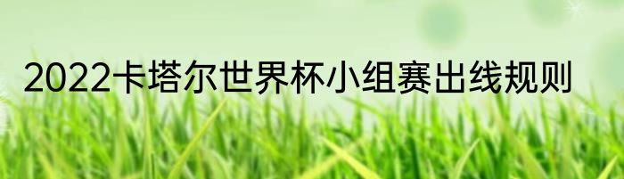 2022卡塔尔世界杯小组赛出线规则