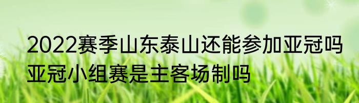 2022赛季山东泰山还能参加亚冠吗　亚冠小组赛是主客场制吗