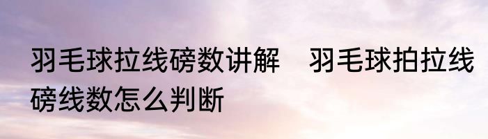羽毛球拉线磅数讲解　羽毛球拍拉线磅线数怎么判断