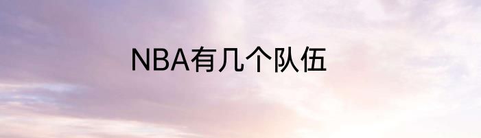 NBA有几个队伍