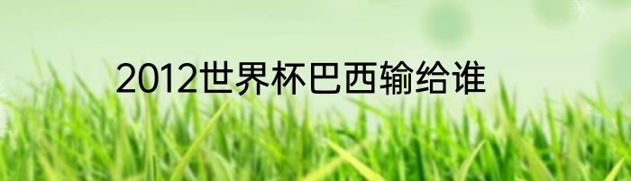 2012世界杯巴西输给谁