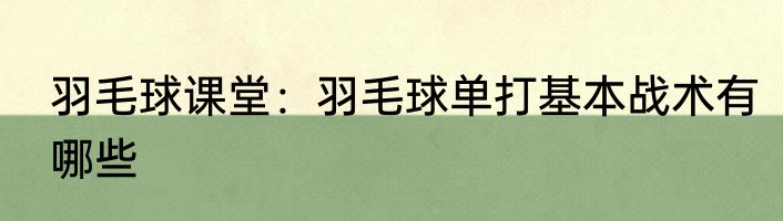 羽毛球课堂：羽毛球单打基本战术有哪些