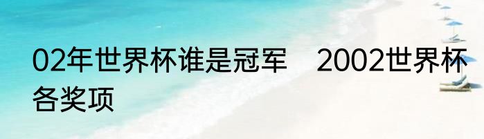 02年世界杯谁是冠军　2002世界杯各奖项