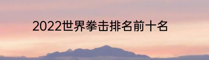 2022世界拳击排名前十名