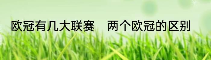 欧冠有几大联赛　两个欧冠的区别