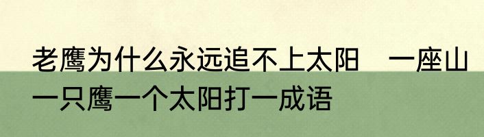 老鹰为什么永远追不上太阳　一座山一只鹰一个太阳打一成语