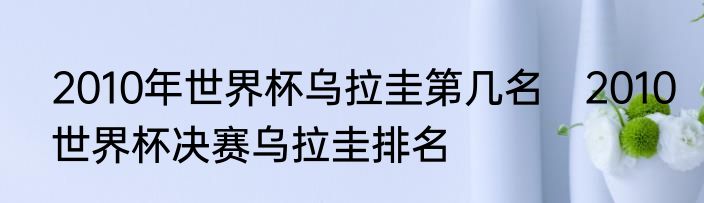 2010年世界杯乌拉圭第几名　2010世界杯决赛乌拉圭排名