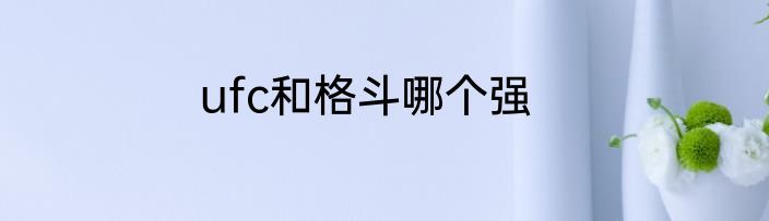 ufc和格斗哪个强