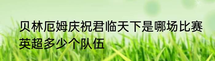 贝林厄姆庆祝君临天下是哪场比赛　英超多少个队伍