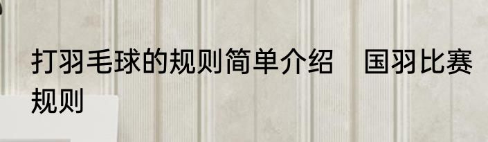 打羽毛球的规则简单介绍　国羽比赛规则