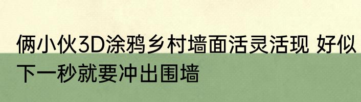 俩小伙3D涂鸦乡村墙面活灵活现 好似下一秒就要冲出围墙