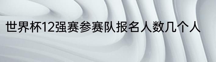 世界杯12强赛参赛队报名人数几个人