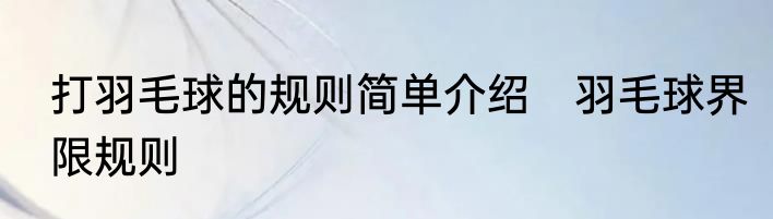 打羽毛球的规则简单介绍　羽毛球界限规则