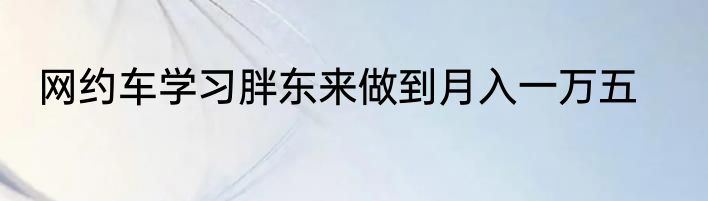 网约车学习胖东来做到月入一万五