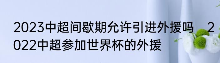 2023中超间歇期允许引进外援吗　2022中超参加世界杯的外援