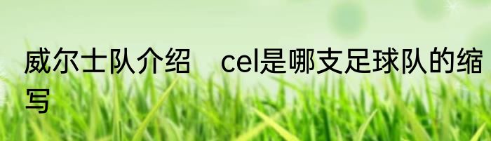 威尔士队介绍　cel是哪支足球队的缩写