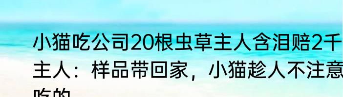 小猫吃公司20根虫草主人含泪赔2千，主人：样品带回家，小猫趁人不注意吃的