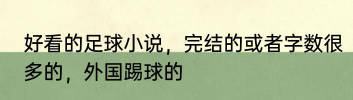 好看的足球小说，完结的或者字数很多的，外国踢球的