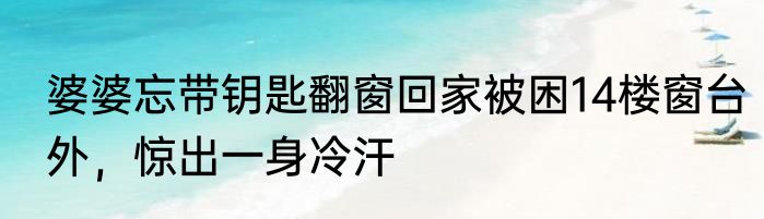 婆婆忘带钥匙翻窗回家被困14楼窗台外，惊出一身冷汗