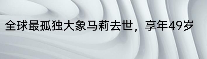 全球最孤独大象马莉去世，享年49岁