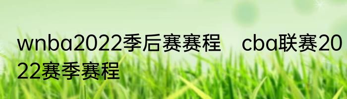 wnba2022季后赛赛程　cba联赛2022赛季赛程
