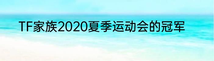 TF家族2020夏季运动会的冠军