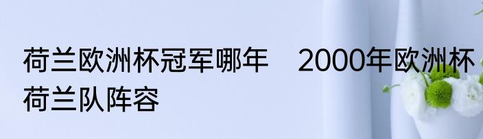 荷兰欧洲杯冠军哪年　2000年欧洲杯荷兰队阵容