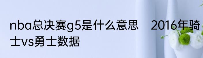nba总决赛g5是什么意思　2016年骑士vs勇士数据