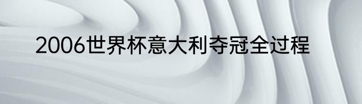 2006世界杯意大利夺冠全过程