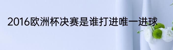 2016欧洲杯决赛是谁打进唯一进球