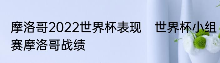 摩洛哥2022世界杯表现　世界杯小组赛摩洛哥战绩