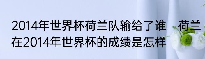 2014年世界杯荷兰队输给了谁　荷兰在2014年世界杯的成绩是怎样