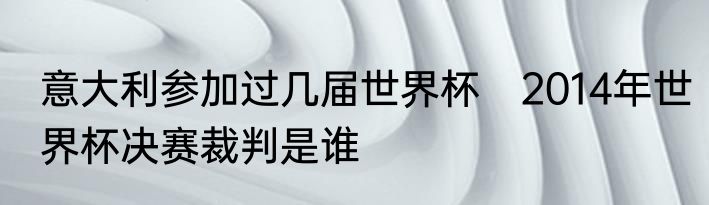 意大利参加过几届世界杯　2014年世界杯决赛裁判是谁