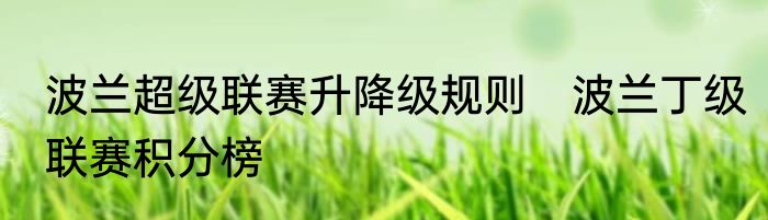 波兰超级联赛升降级规则　波兰丁级联赛积分榜