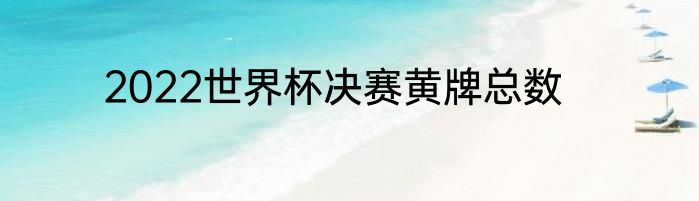 2022世界杯决赛黄牌总数