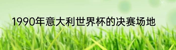 1990年意大利世界杯的决赛场地