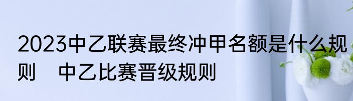 2023中乙联赛最终冲甲名额是什么规则　中乙比赛晋级规则