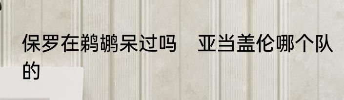 保罗在鹈鹕呆过吗　亚当盖伦哪个队的