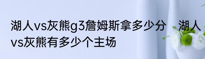 湖人vs灰熊g3詹姆斯拿多少分　湖人vs灰熊有多少个主场