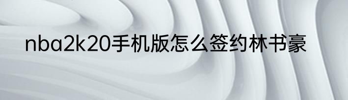 nba2k20手机版怎么签约林书豪