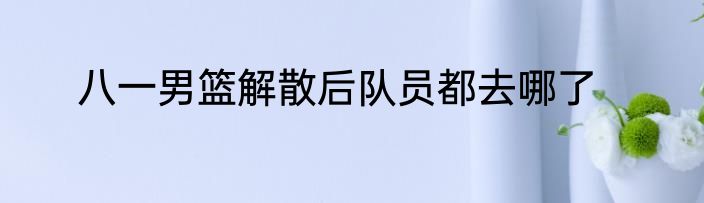 八一男篮解散后队员都去哪了