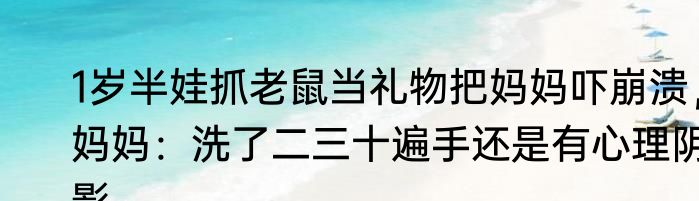 1岁半娃抓老鼠当礼物把妈妈吓崩溃，妈妈：洗了二三十遍手还是有心理阴影