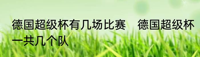 德国超级杯有几场比赛　德国超级杯一共几个队