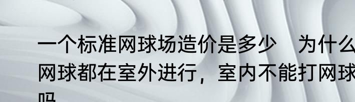 一个标准网球场造价是多少　为什么网球都在室外进行，室内不能打网球吗