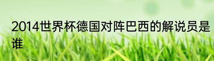 2014世界杯德国对阵巴西的解说员是谁