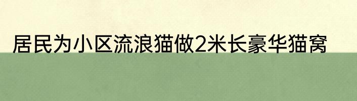 居民为小区流浪猫做2米长豪华猫窝