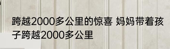 跨越2000多公里的惊喜 妈妈带着孩子跨越2000多公里