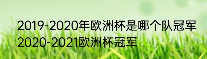 2019-2020年欧洲杯是哪个队冠军　2020-2021欧洲杯冠军