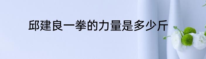 邱建良一拳的力量是多少斤