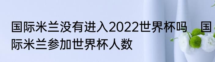 国际米兰没有进入2022世界杯吗　国际米兰参加世界杯人数